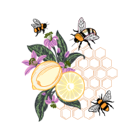 Tachinid Flies Animals Tachinid Flies Animals