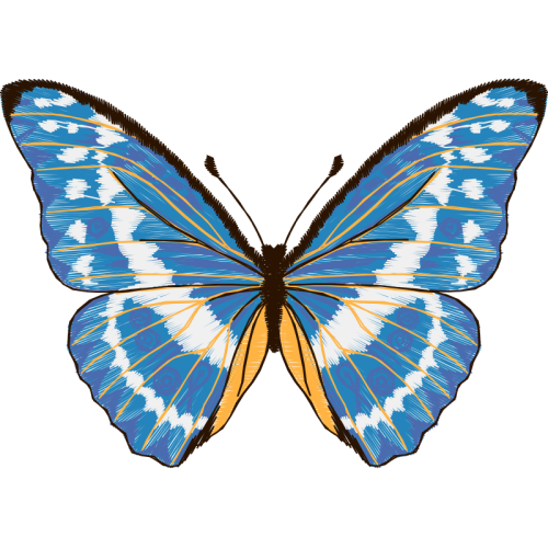 Teinopalpus Aureus Animals Teinopalpus Aureus Animals