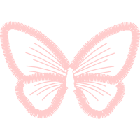 Text Animals Text Animals