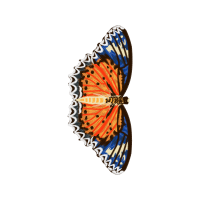 The Arts Animals The Arts Animals