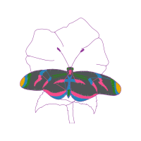 Tiger Beetle Animals Tiger Beetle Animals