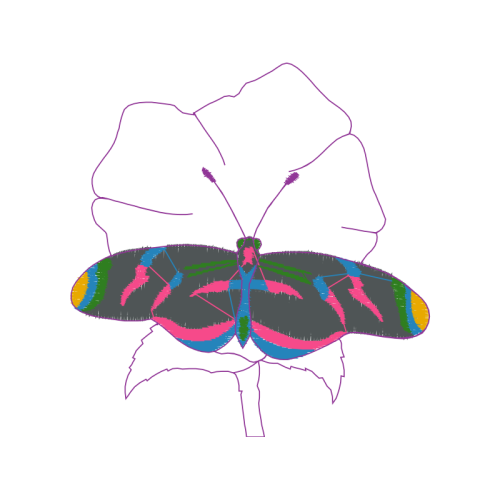 Tiger Beetle Animals Tiger Beetle Animals