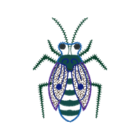 Tiger Beetle Animals Tiger Beetle Animals