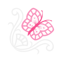 Toxicology Animals Toxicology Animals