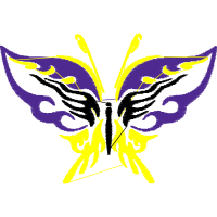 Ulysses Butterfly Animals Ulysses Butterfly Animals