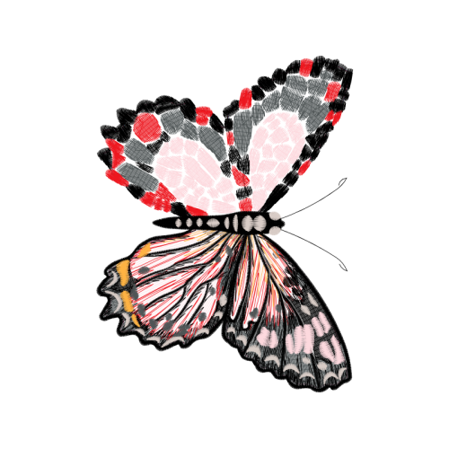 Visual Arts Animals Visual Arts Animals