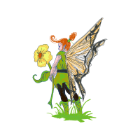 Visual Arts Animals Visual Arts Animals