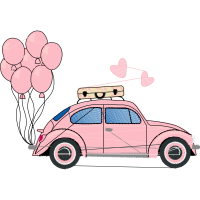 Volkswagen Beetle Animals Volkswagen Beetle Animals