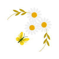 Wallpaper Animals Wallpaper Animals