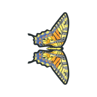 Water Animals Water Animals