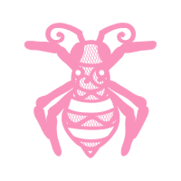 Weevil Animals Weevil Animals