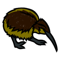 Weevil Animals Weevil Animals