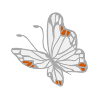 Western Pygmy Blue Animals