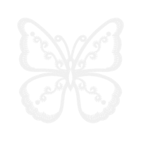 White Animals White Animals