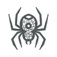 Wolf Spider Animals Wolf Spider Animals