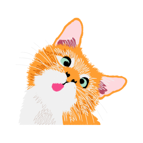 Aegean Cat Animals Aegean Cat Animals