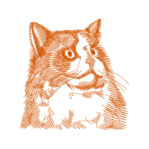 Aegean Cat Animals Aegean Cat Animals