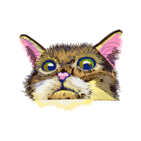 Aegean Cat Animals Aegean Cat Animals