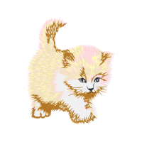 Aegean Cat Animals Aegean Cat Animals