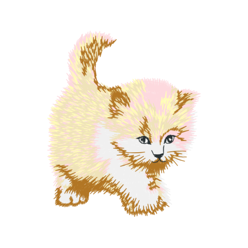 Aegean Cat Animals Aegean Cat Animals