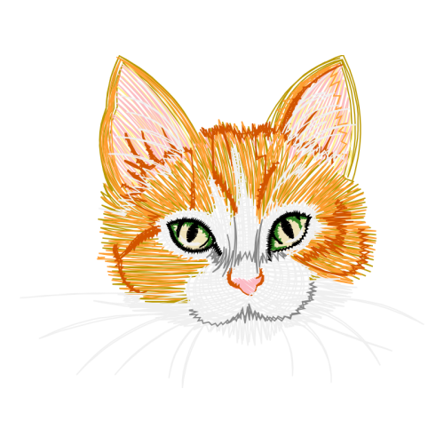 Aegean Cat Animals Aegean Cat Animals