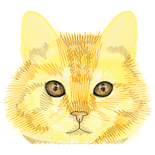 Aegean Cat Animals Aegean Cat Animals