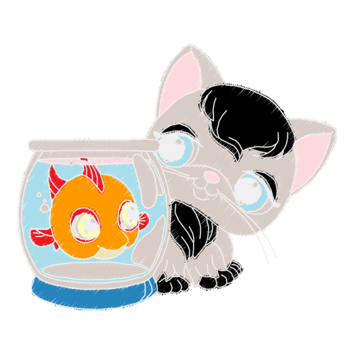 Aegean Cat Animals Aegean Cat Animals