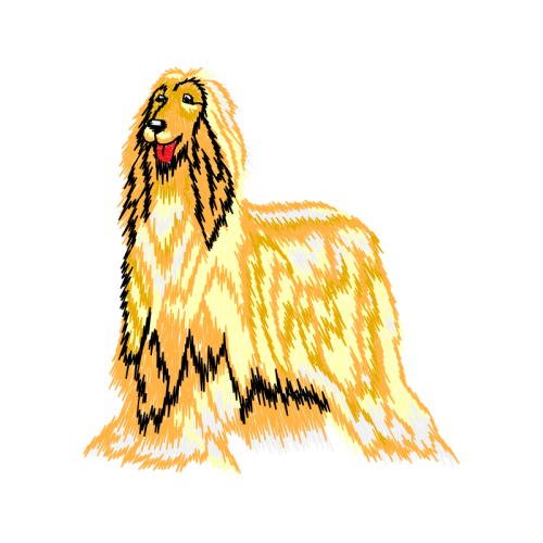 Afghan Hound Animals Afghan Hound Animals