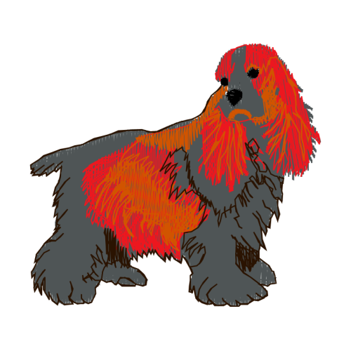 Afghan Hound Animals Afghan Hound Animals