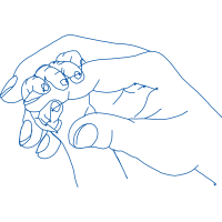 African Elephants Animals