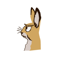 African Wild Dog Animals