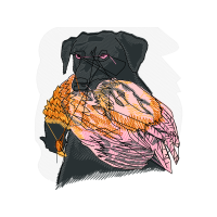 Airedale Terrier Animals Airedale Terrier Animals