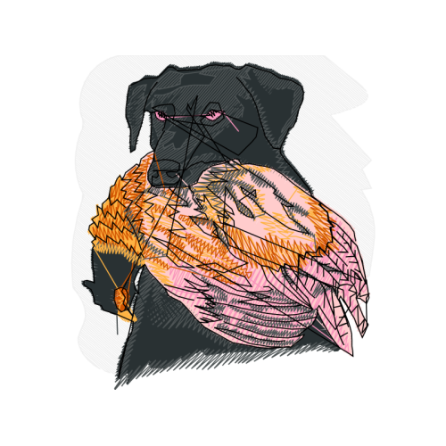 Airedale Terrier Animals Airedale Terrier Animals