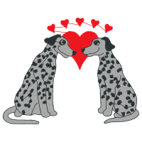 Airedale Terrier Animals Airedale Terrier Animals