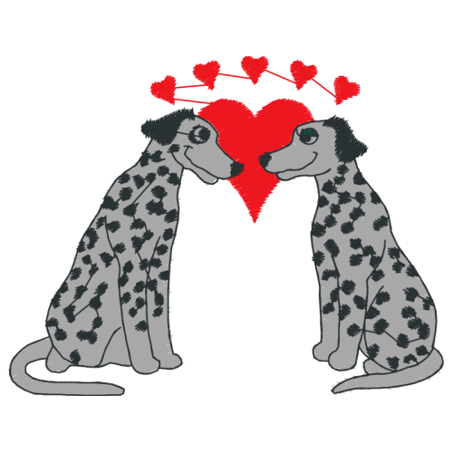 Airedale Terrier Animals Airedale Terrier Animals