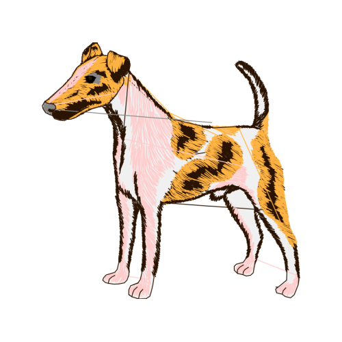 Airedale Terrier Animals Airedale Terrier Animals