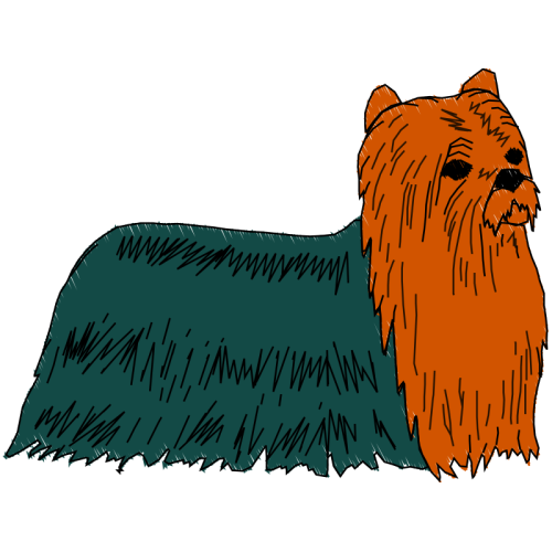 Airedale Terrier Animals Airedale Terrier Animals