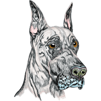 Alapaha Blue Blood Bulldog Animals