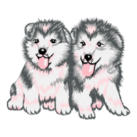 Alaskan Malamute Animals Alaskan Malamute Animals