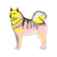 Alaskan Malamute Animals Alaskan Malamute Animals