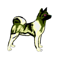 Alaskan Malamute Animals