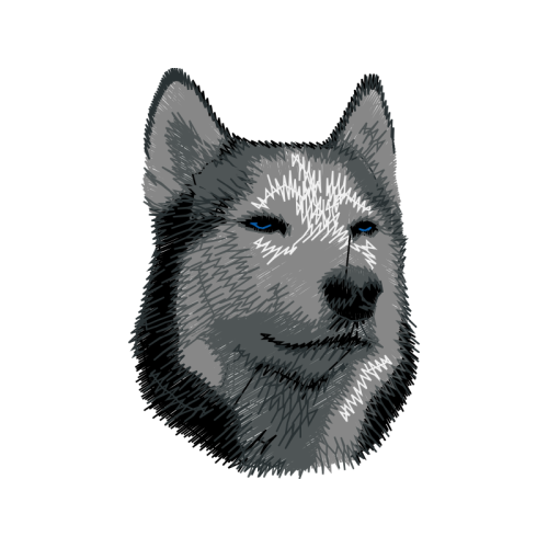 Alaskan Malamute Animals Alaskan Malamute Animals