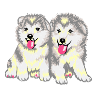 Alaskan Malamute Animals Alaskan Malamute Animals