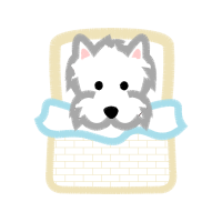 Alaskan Malamute Animals Alaskan Malamute Animals