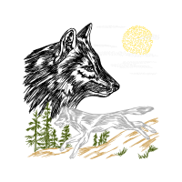 Alaskan Tundra Wolf Animals Alaskan Tundra Wolf Animals