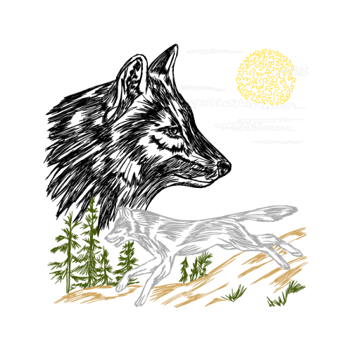 Alaskan Tundra Wolf Animals Alaskan Tundra Wolf Animals