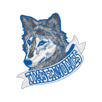 Alaskan Tundra Wolf Animals Alaskan Tundra Wolf Animals