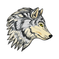 Alaskan Tundra Wolf Animals Alaskan Tundra Wolf Animals