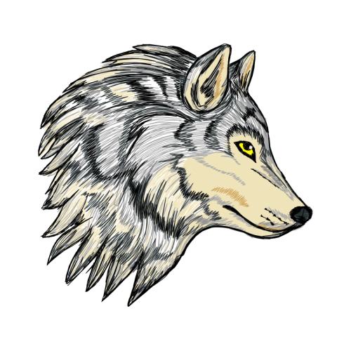 Alaskan Tundra Wolf Animals Alaskan Tundra Wolf Animals