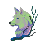 Alaskan Tundra Wolf Animals Alaskan Tundra Wolf Animals